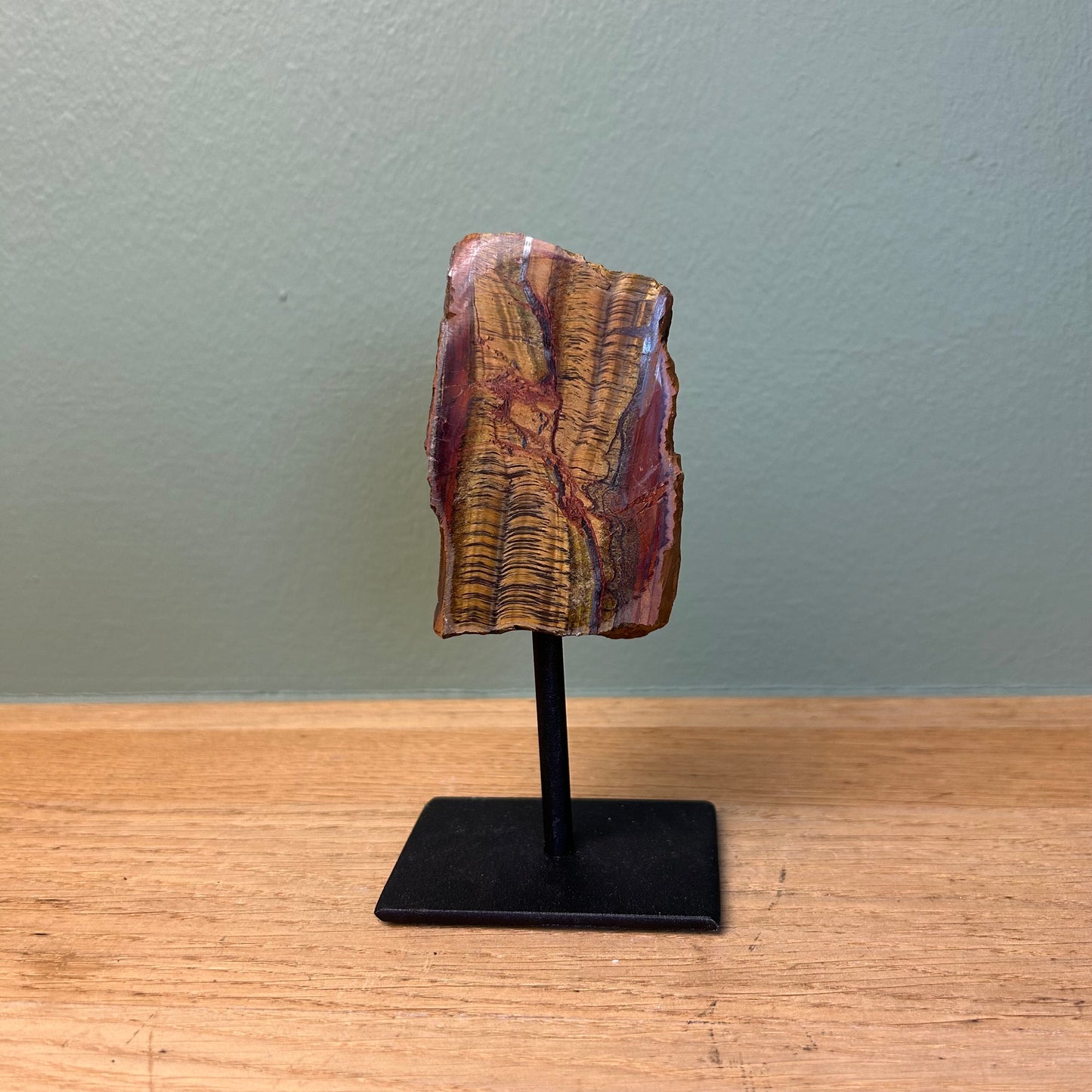 Tijgeroog op Standaard 01