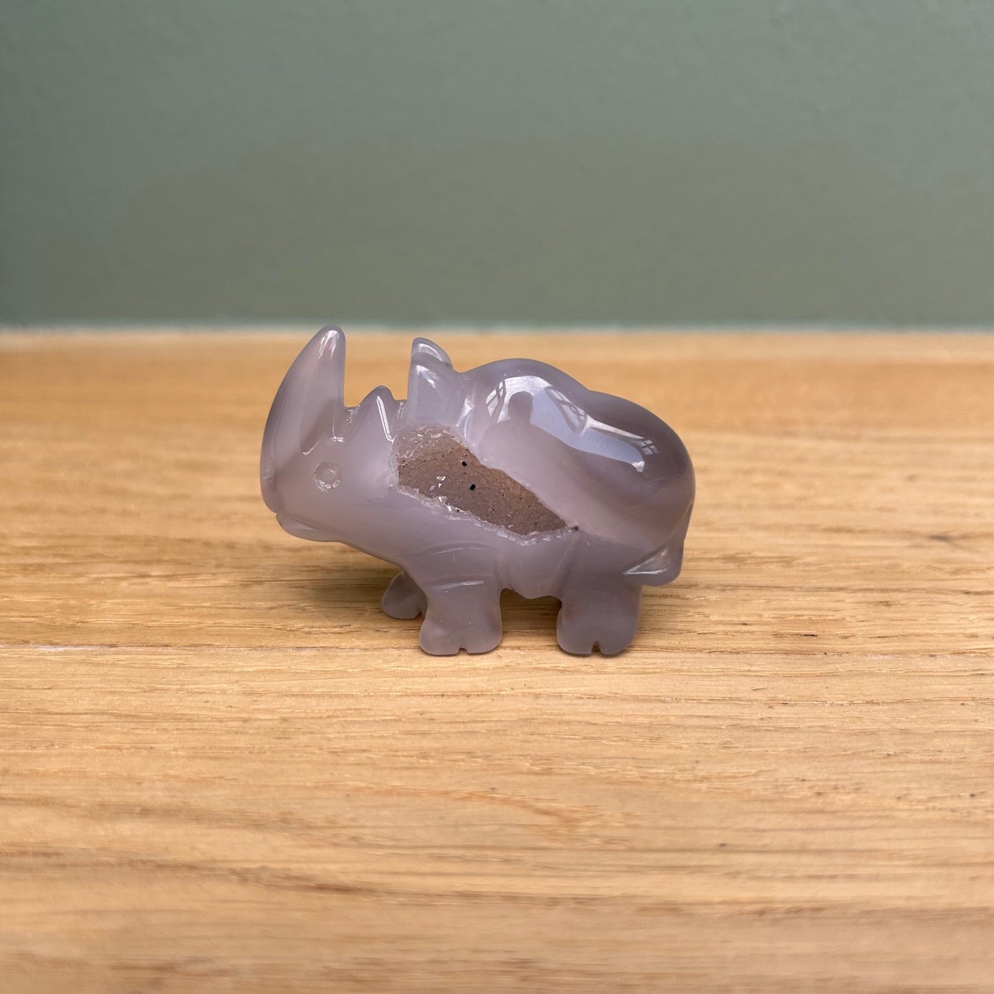 Neushoorn 04