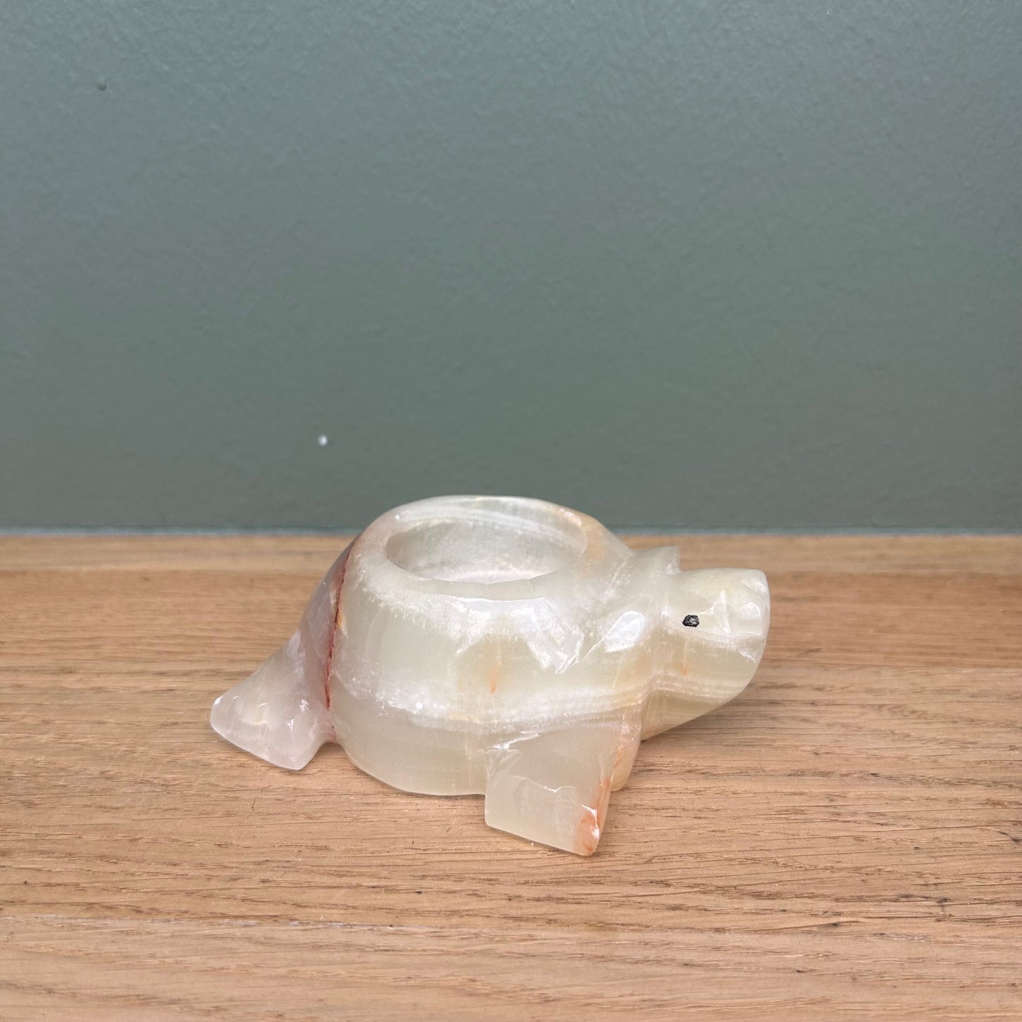 Onyx Waxine Schildpad 01