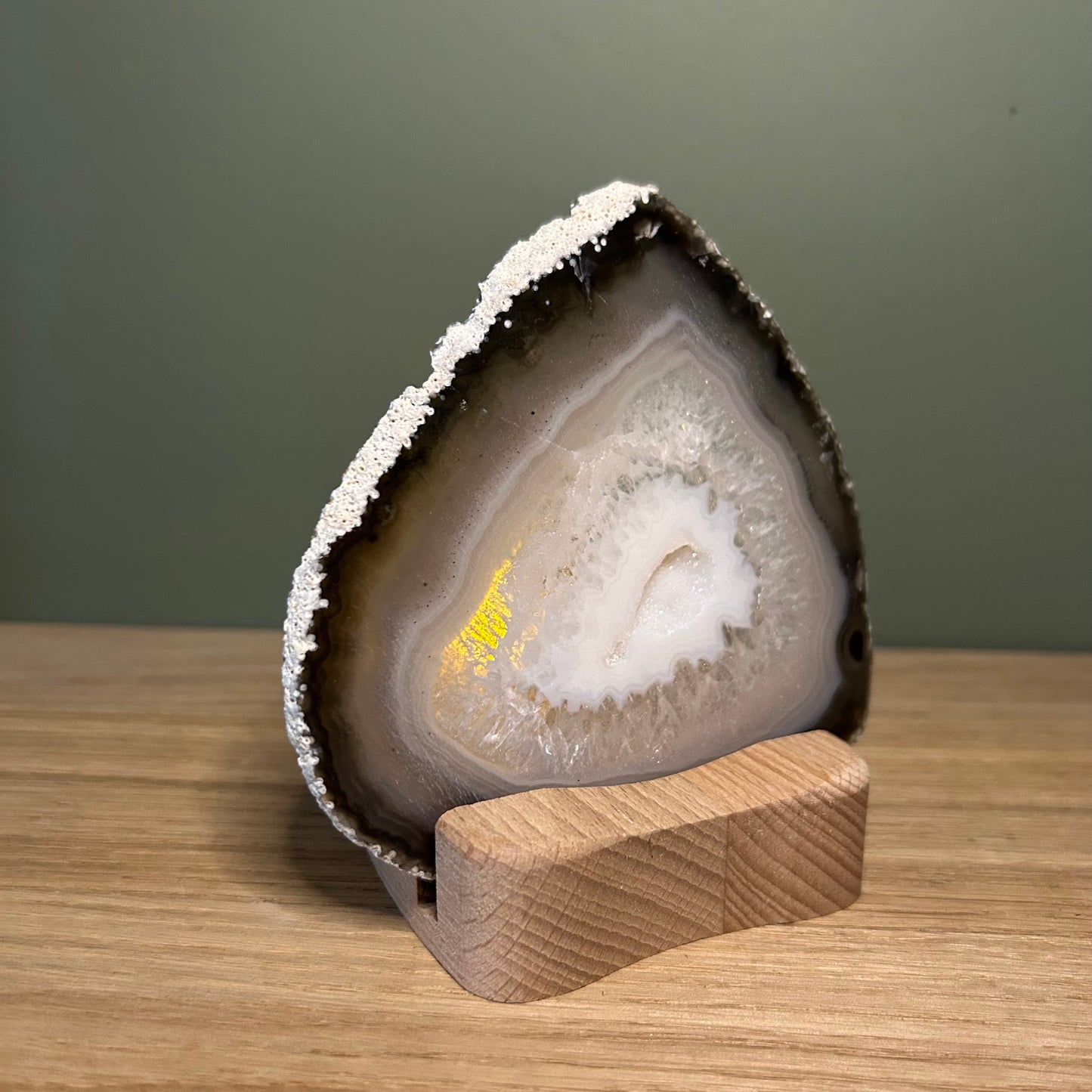 Schijfhouder Hout