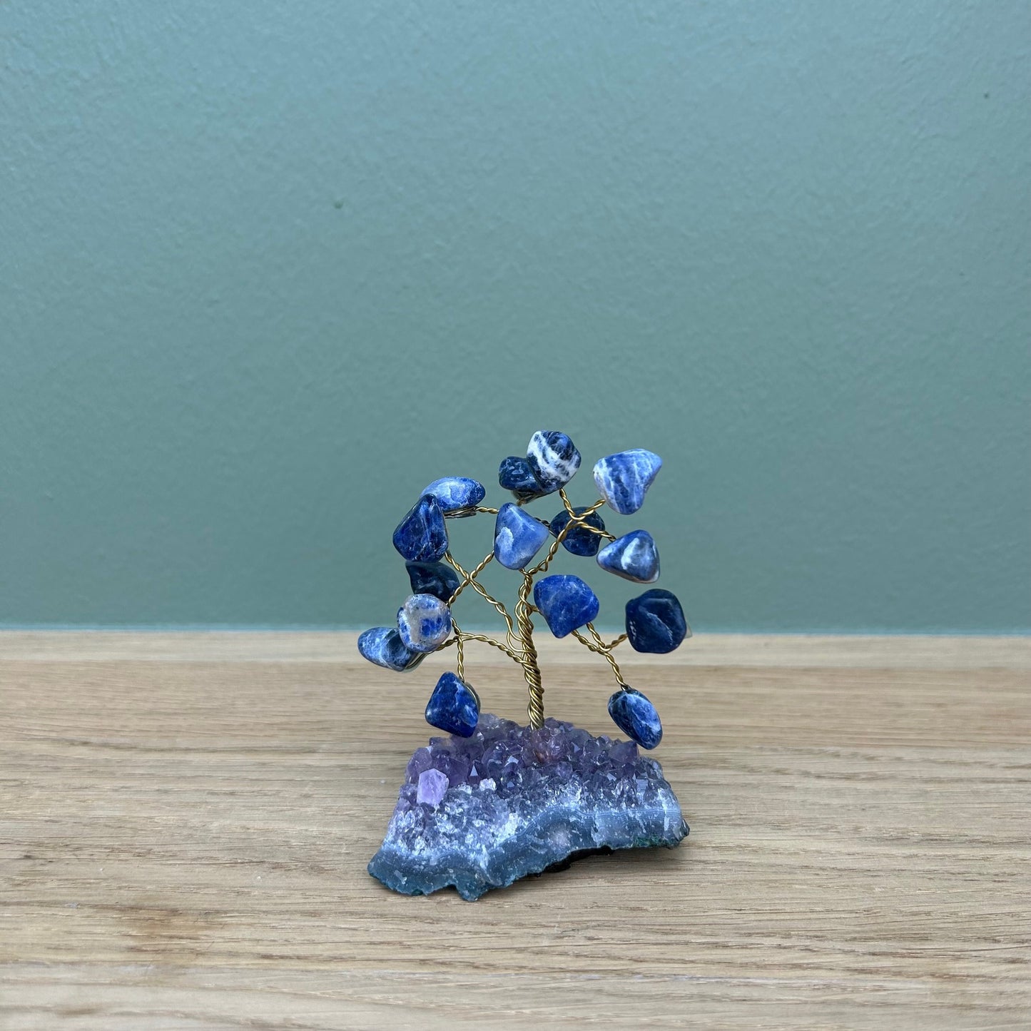 Sodaliet Boom Klein