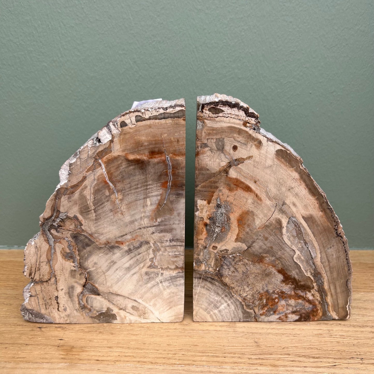 Versteend Hout Boekensteun 02
