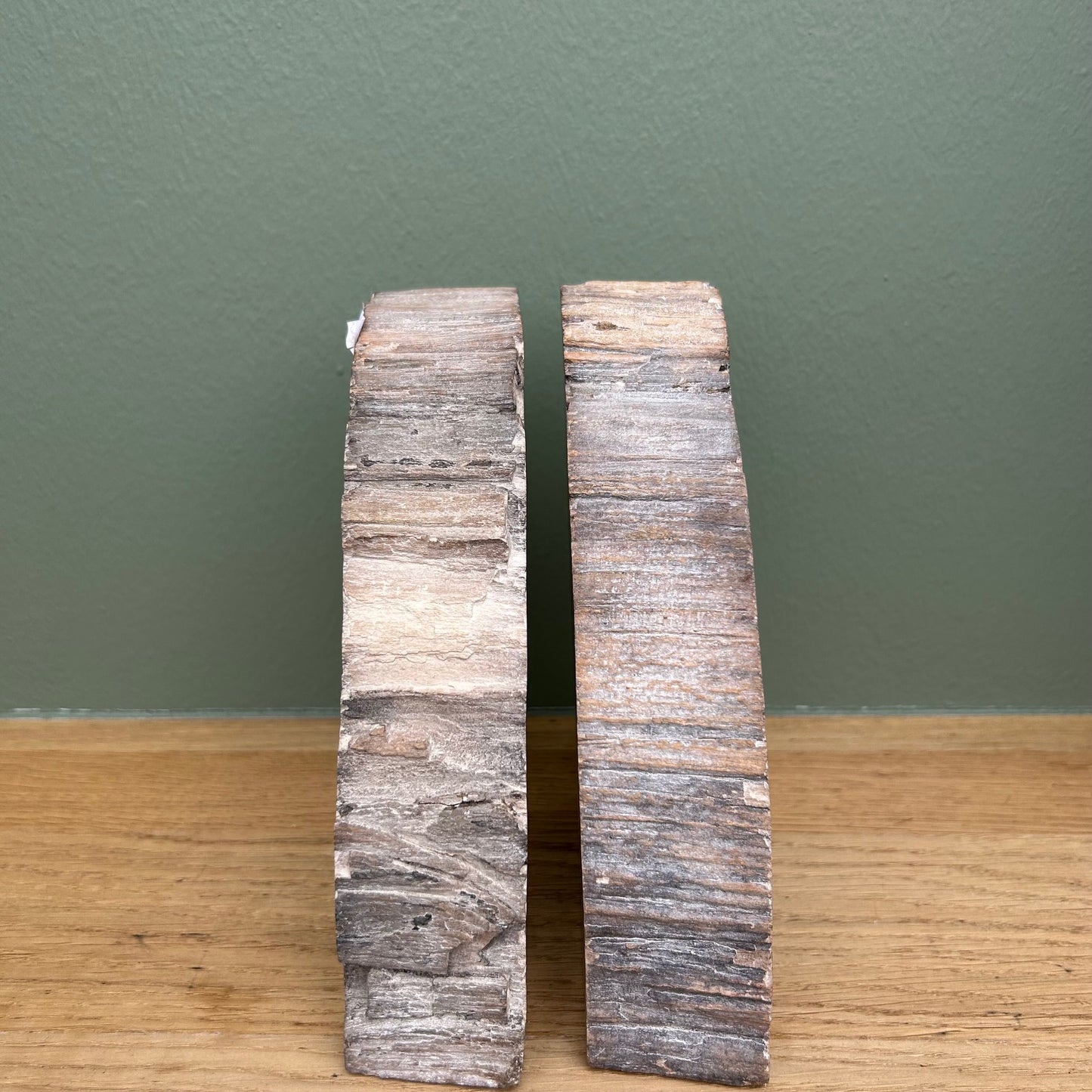 Versteend Hout Boekensteun 02