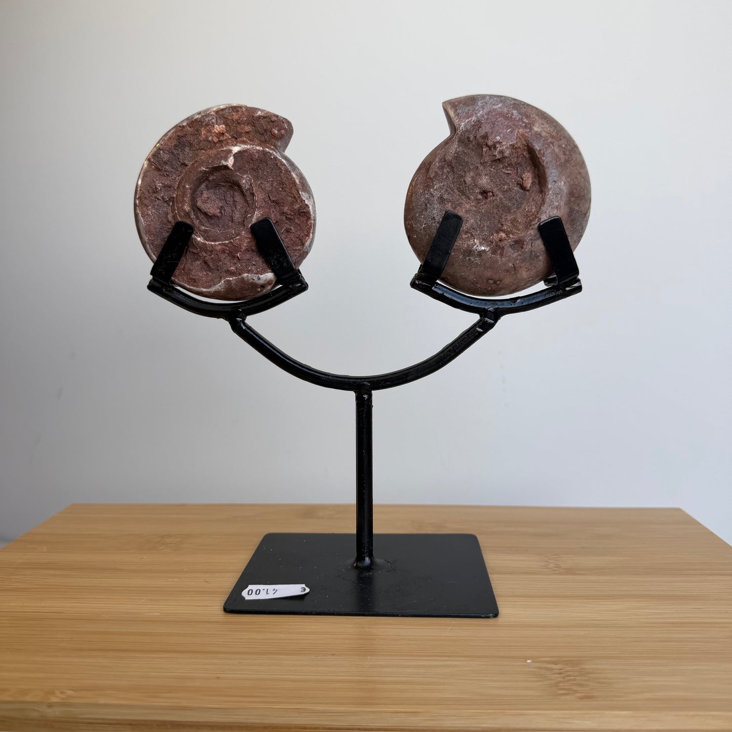 Ammoniet paar in Standaard