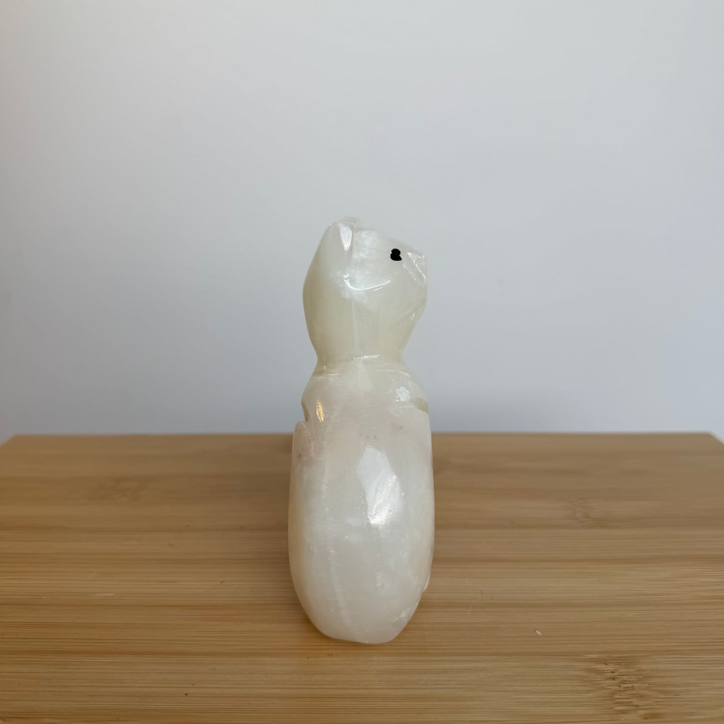 Onyx Kat 02