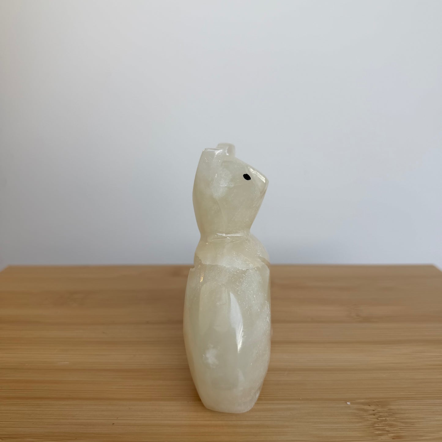Onyx Kat 06
