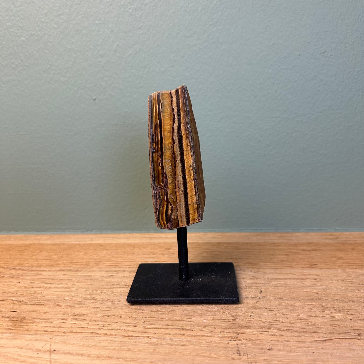 Tijgeroog op Standaard 05