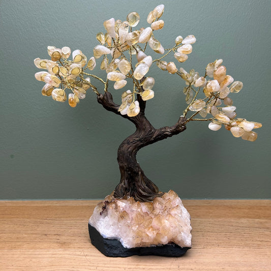 Gebrande Amethist Boom