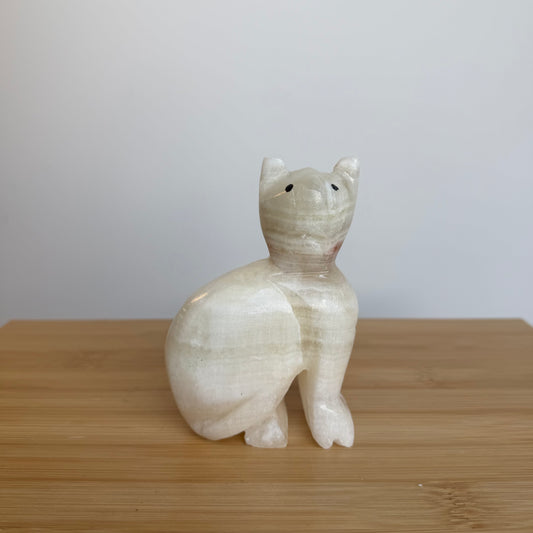 Onyx Kat 07