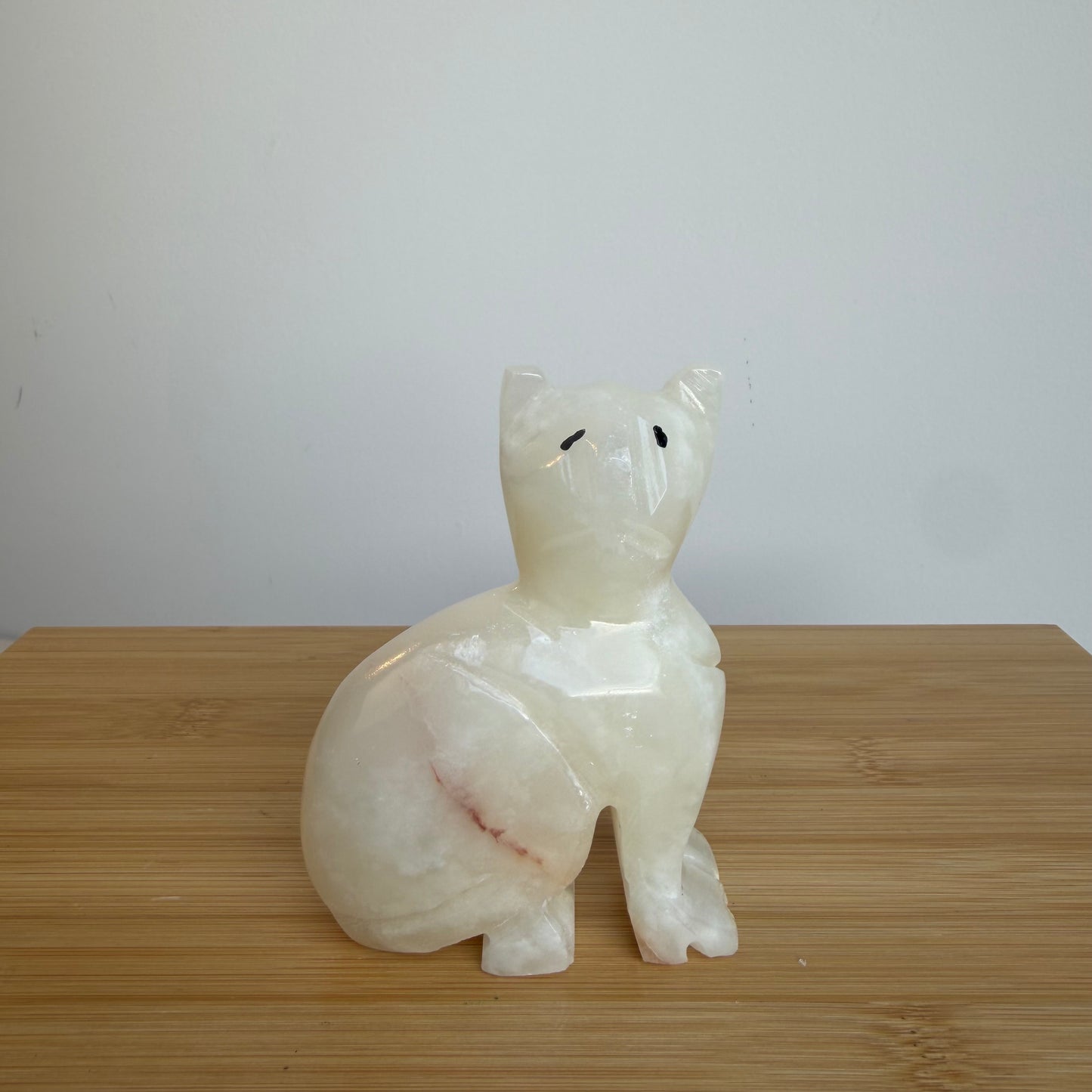 Onyx Kat 02