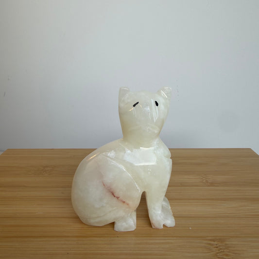 Onyx Kat 02