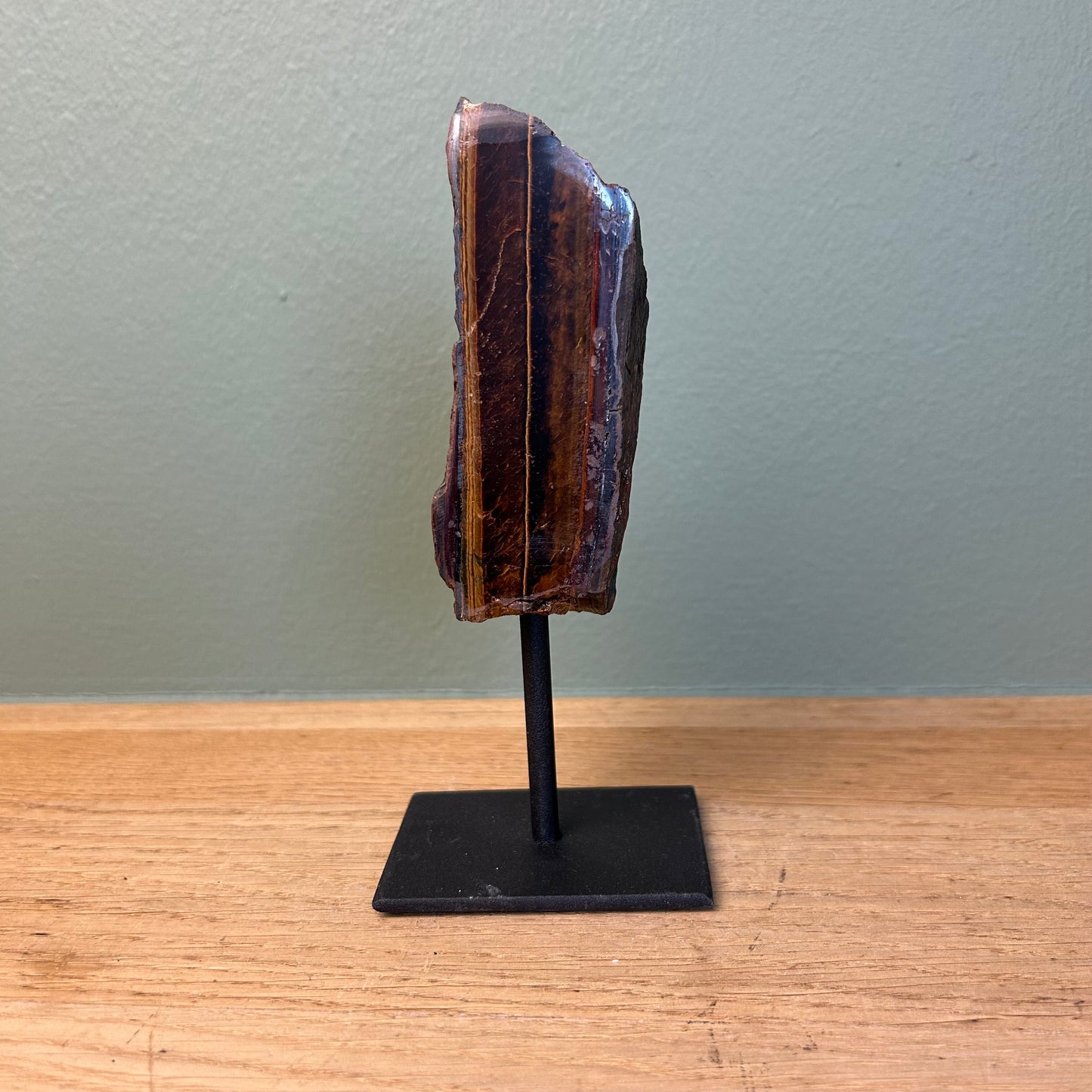 Tijgeroog op Standaard 04