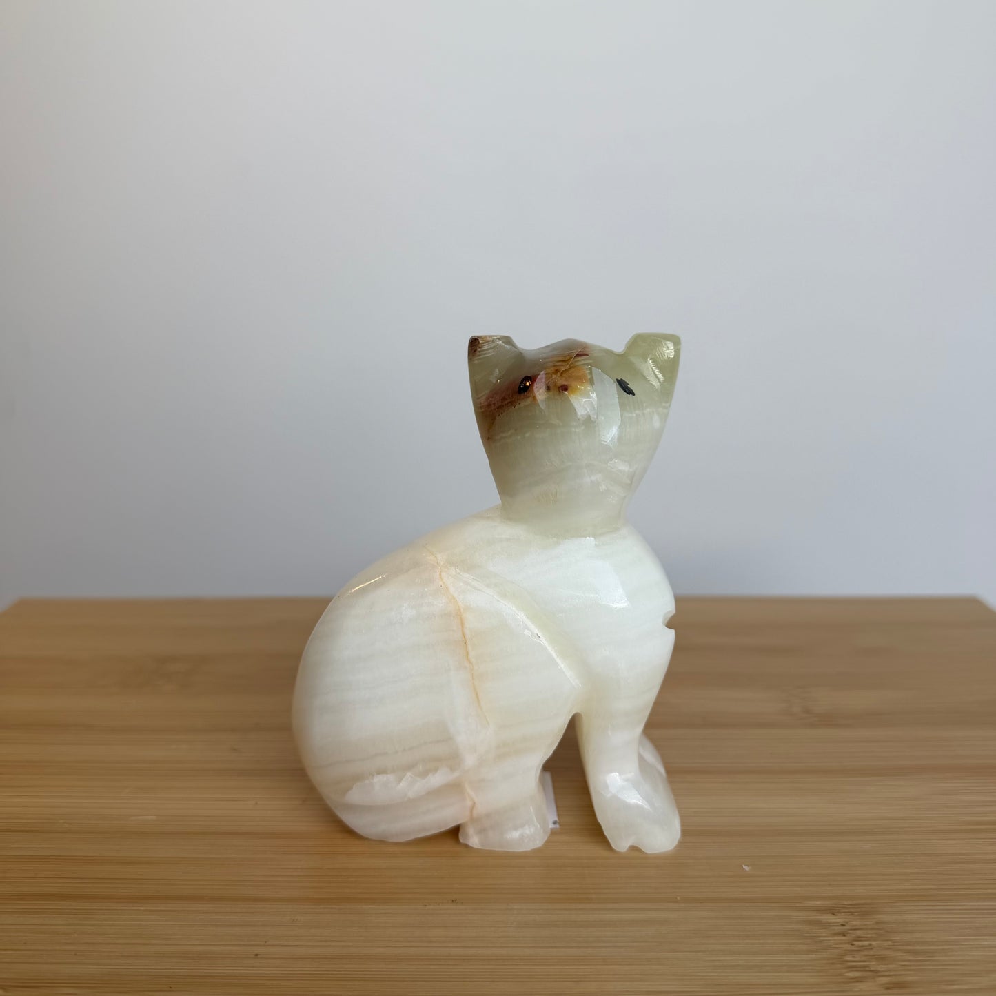 Onyx Kat 05