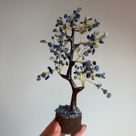 Lapis Lazuli Boom