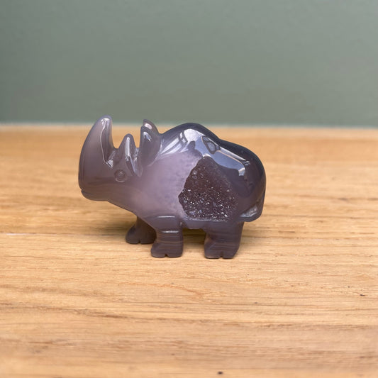 Neushoorn 01