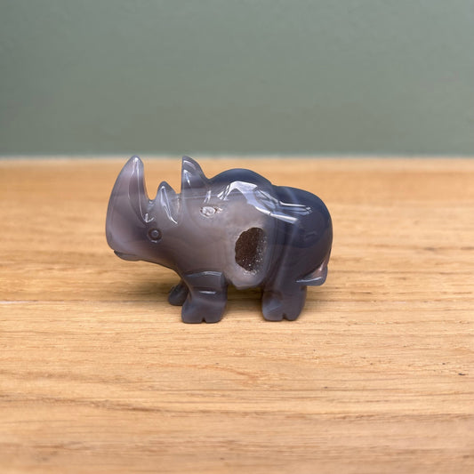 Neushoorn 02