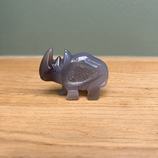 Neushoorn 03