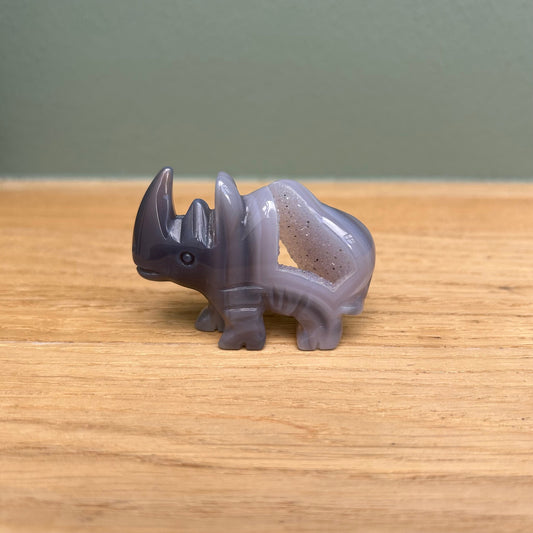Neushoorn 05