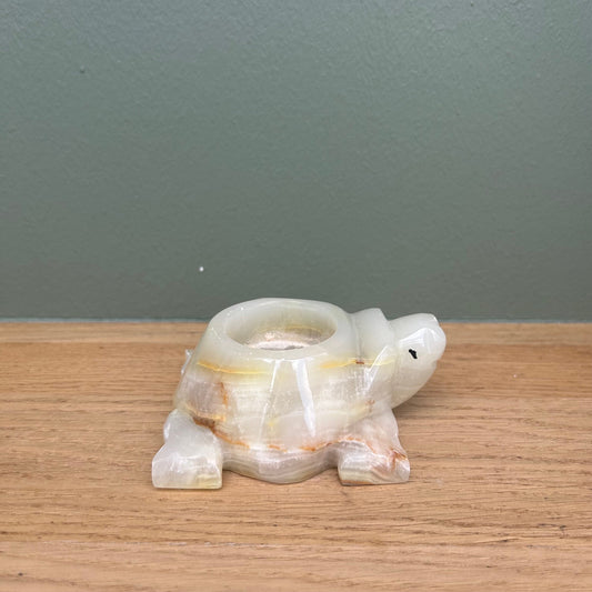 Onyx Waxine Schildpad 03