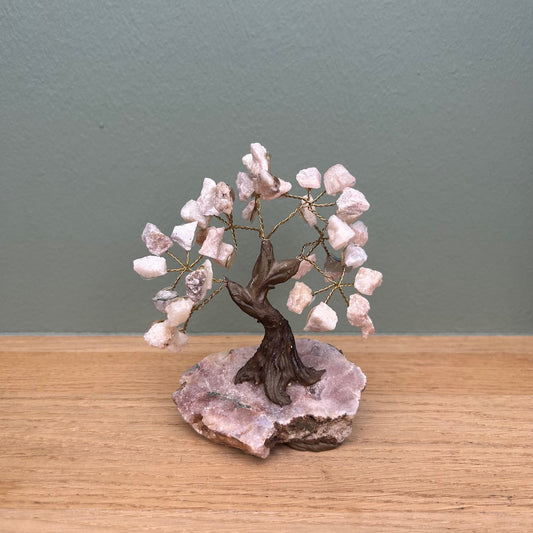 Roze Amethist Boom