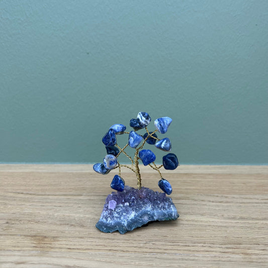Sodaliet Boom Klein