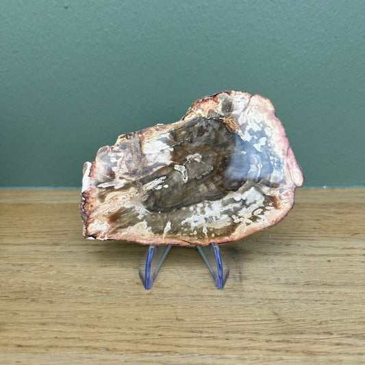 Versteend Hout 08