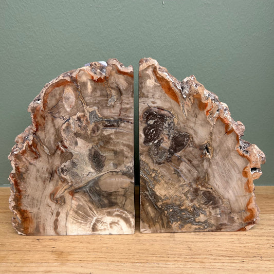Versteend Hout Boekensteun 01