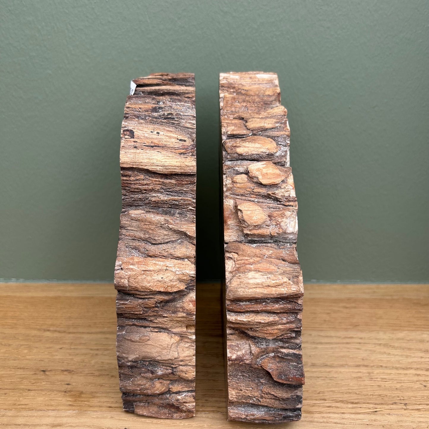 Versteend Hout Boekensteun 01