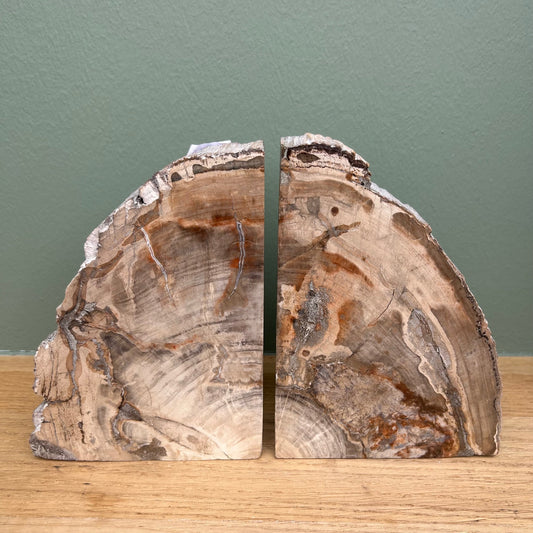 Versteend Hout Boekensteun 02