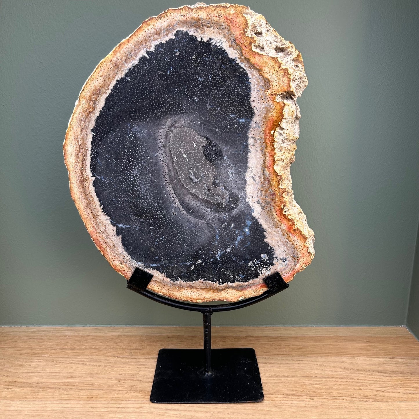 Versteend Hout op Standaard 02