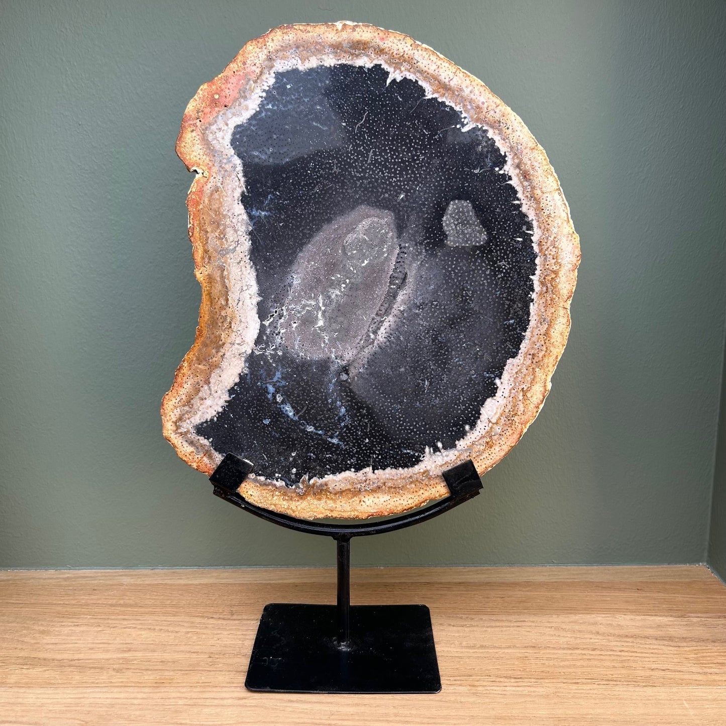 Versteend Hout op Standaard 02
