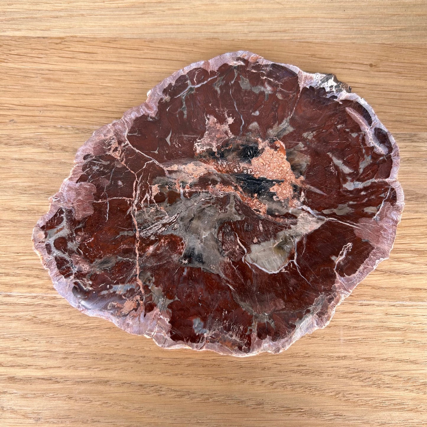 Versteend Hout Slab 07
